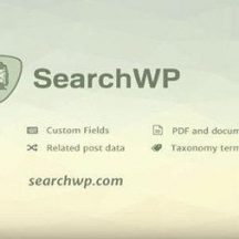 WordPress-Search